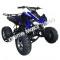 Extreme Cougar 200cc Sport ATV 4 Wheeler Quad Automatic Transmission