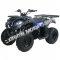 Pentora 150cc ATV Utility Quad 4 Wheeler Automatic Transmission