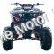 Extreme Rider 10 Quad Kids 125cc ATV 4 Wheeler with Reverse