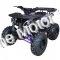 Extreme Rider 10 Quad Kids 125cc ATV 4 Wheeler with Reverse