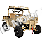 Massimo Warrior 1000 MXD Side by Side UTV 4x4 Utility Vehicle