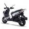 Wolf Rugby 50cc Gas Scooter Moped 49cc Street Legal 2 Year Warranty