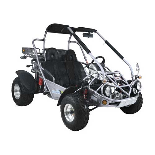 Trailmaster 300 XRX Go Cart Go Kart Dune Buggy 300cc Adult Size