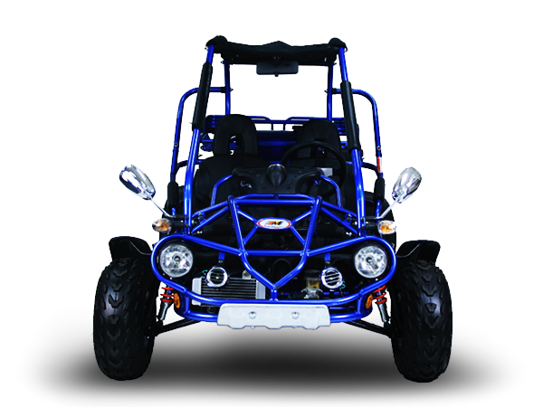 Trailmaster 300 XRX Go Cart Go Kart Dune Buggy 300cc Adult Size