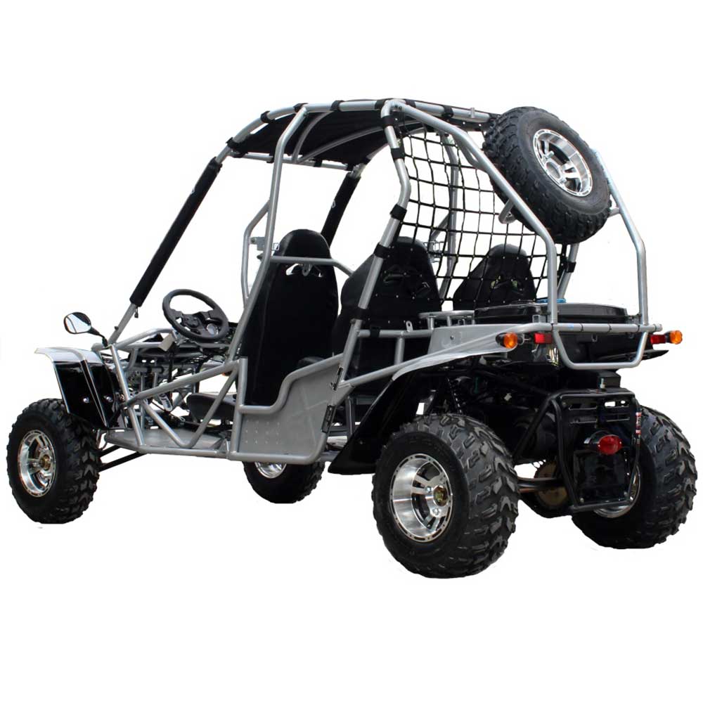 extreme off road buggy