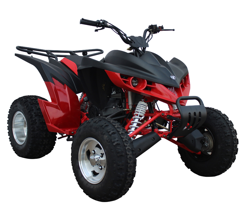 Extreme Hawk 200cc Sport ATV 4 Wheeler Quad Automatic Transmission