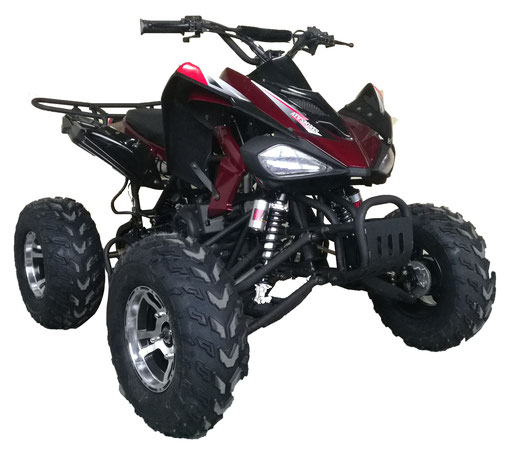 Extreme Cougar 200cc Sport ATV 4 Wheeler Quad Automatic Transmission