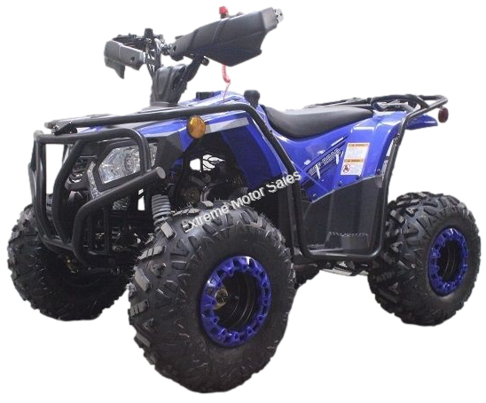 Extreme DF200ATS 200cc ATV Quad Full Size Utility 4 Wheeler > Adult ATV ...