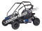 Dirt Moto 200 Kids Go Cart GoKart Off Road Dune Buggy 196cc