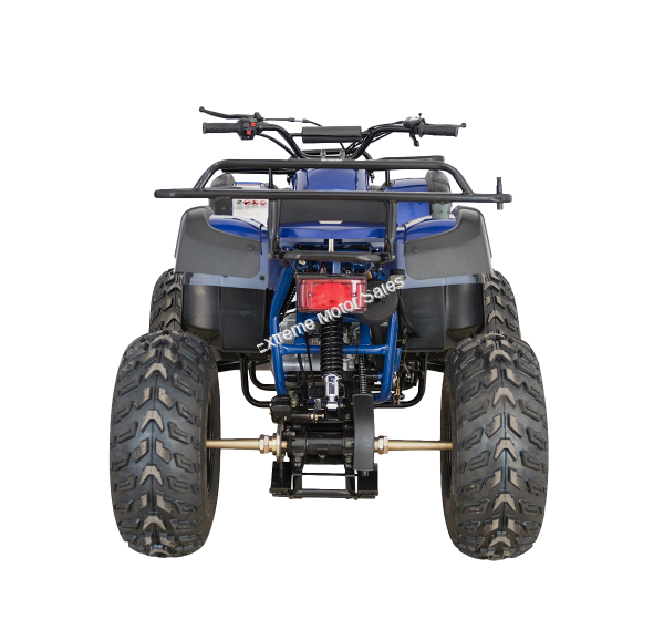 Extreme Desert Tk200ATV-BA 200cc ATV Quad Full Size Utility 4 Wheeler ...