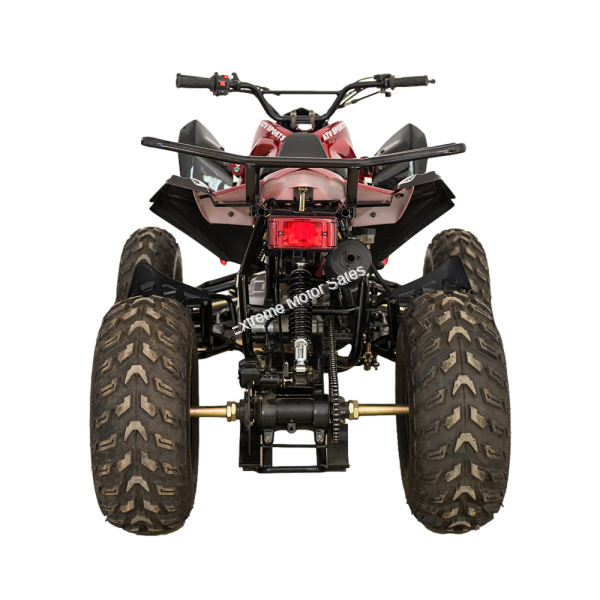 Extreme RPS TK200-CS 200cc ATV Quad Full Size Sport 4 Wheeler > Adult ...