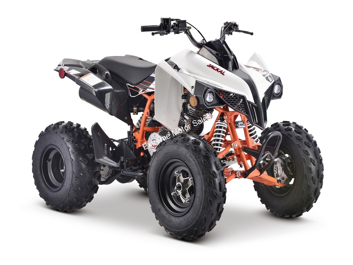 Extreme Motor Sales > Adult ATV: 150cc & Larger > Kayo Jackal 200cc ATV ...